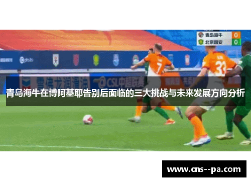 青岛海牛在博阿基耶告别后面临的三大挑战与未来发展方向分析
